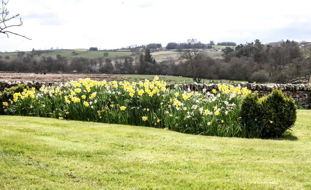 Yellow House West Woodburn エクステリア 写真